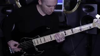 Leprous- The Weight Of Disaster (bass cover)