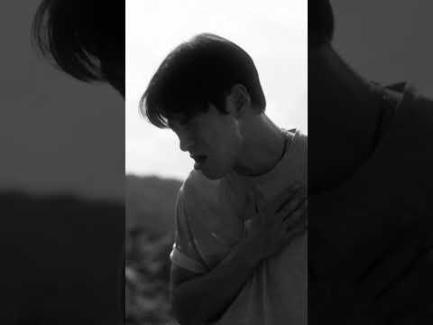 비디오 20