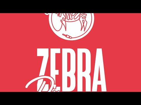 DJ ZEBRA | Live Set
