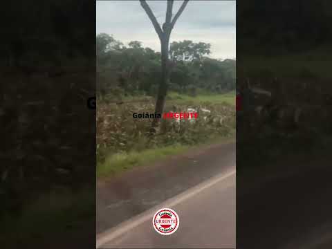 Caminhoneiro embriagado é preso após provocar caos na BR-153, em Barrolândia, no Tocantins.