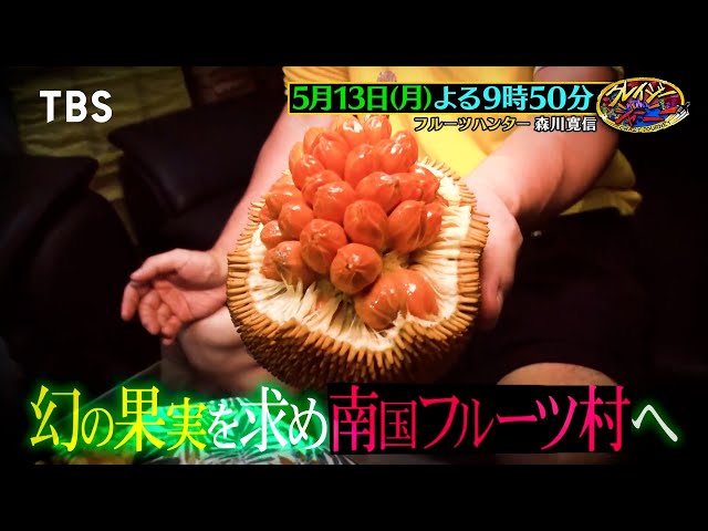 クレイジージャーニー☆日本では食べられない禁断の果実！幻のフルーツ探し旅🈑