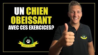 4 EXERCICES POUR RENDRE VOTRE CHIEN OBÉISSANT ET FOCUS !