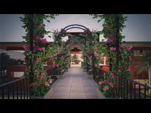 Walkthrough Walkthrough