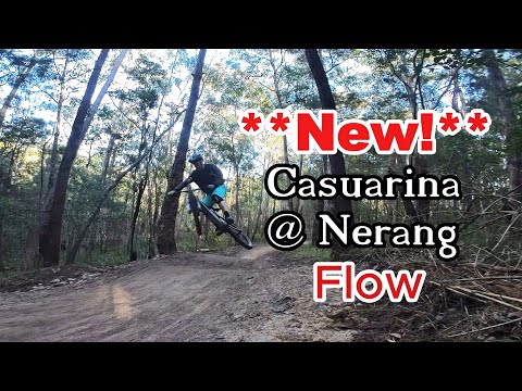Casuarina Explorer @ Nerang MTB