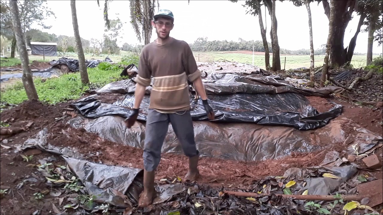 Abrindo o silo de sorgo: como foi fechado, como ficou a silagem e como evitar entrada de ar no silo