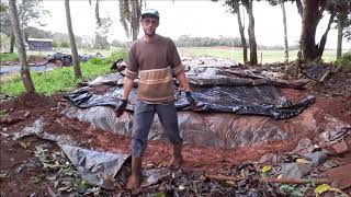 Abrindo o silo de sorgo: como foi fechado, como ficou a silagem e como evitar entrada de ar no silo