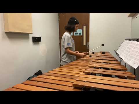 Vertical River-Blake Tyson (Marimba solo version)