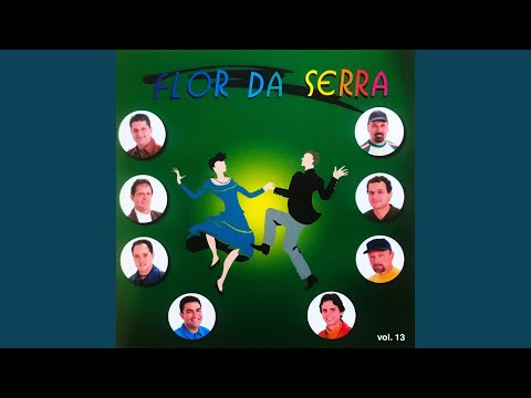 Festa do Músico / a Princesa e o Pobretão / Batom 24 Horas / Dor de Cotovelo (Dor de Corno) /...