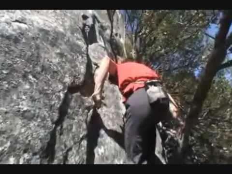 Alex Honnold free solo