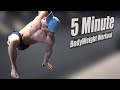 5 Minute Bodyweight HIIT & Mobility Circuit (No Equipment)