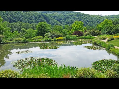 A WORLD OF FRESHNESS, HARMONY, CALM AND COLOUR: THE CARSAC WATER GARDENS (Dordogne)