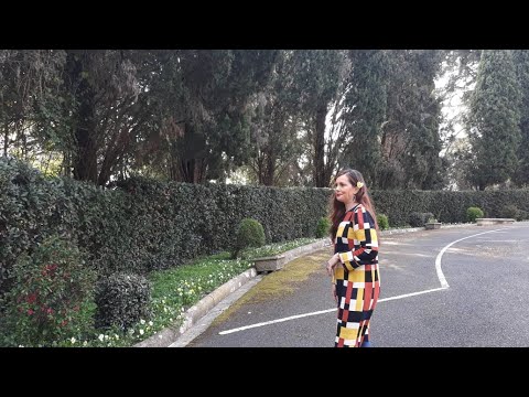 Vitrina e Librit/ Venediku, qyteti i pasur gjurmon harkun e plotë të sagës perandorake venedikase -