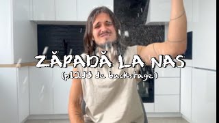 Cover art for Zapada la nas