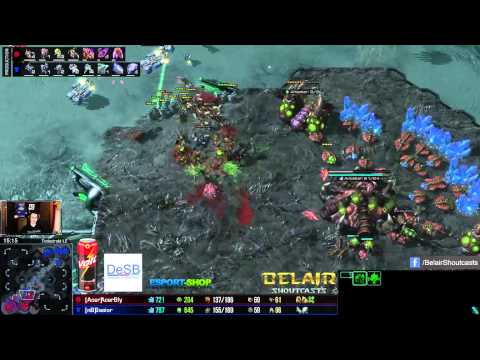 Acer Bly vs Nuit Blanche Basior SkyGround2 Final Starcraft 2 HotS