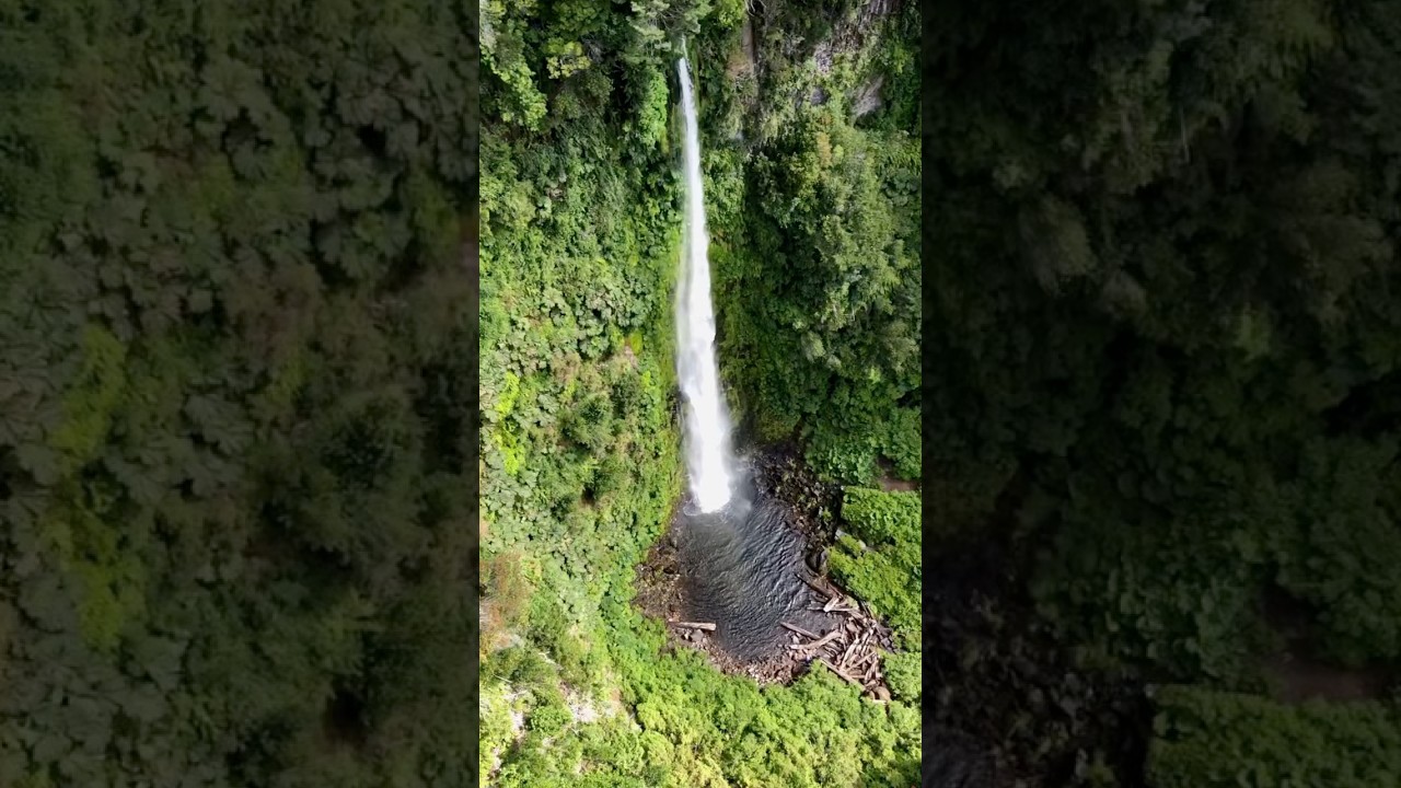 אומגות זיפליין
