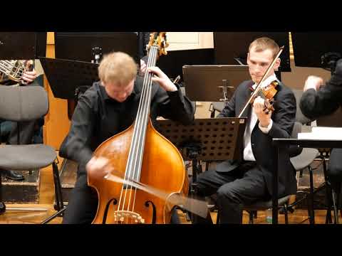 Václav Pichl - S. Brettfeld: Koncert in D pro kontrabas a orchestr - 1. věta Allegro moderato