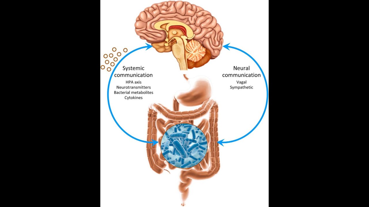 Elías San Vicente Parada-10