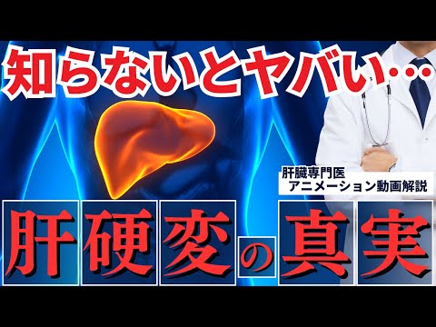 犬の肝硬変 - 原因、症状、治療法