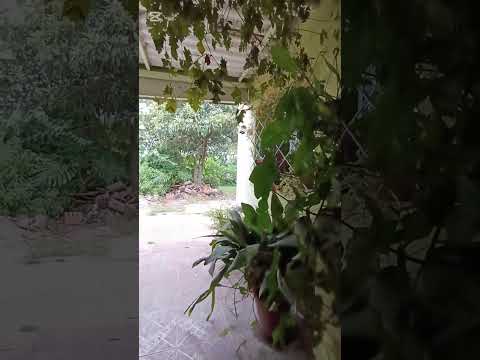 Venta Casa + local comercial Mendoza Grande - Florida