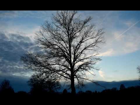 LISA OST Garbage Day - Properly Extended