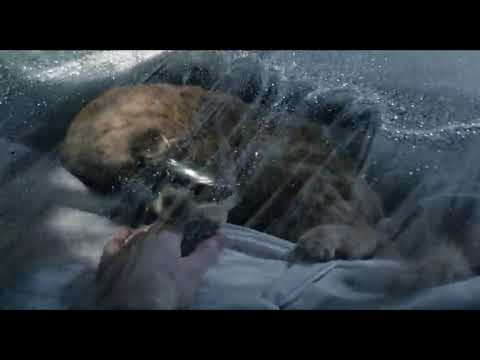 afbeelding "Bio readouts are all in the green" - Aliens