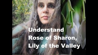 Understand Rose of Sharon