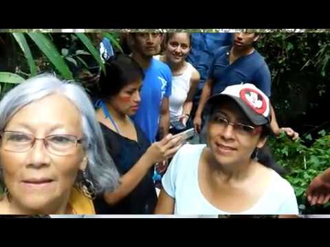 Video 15