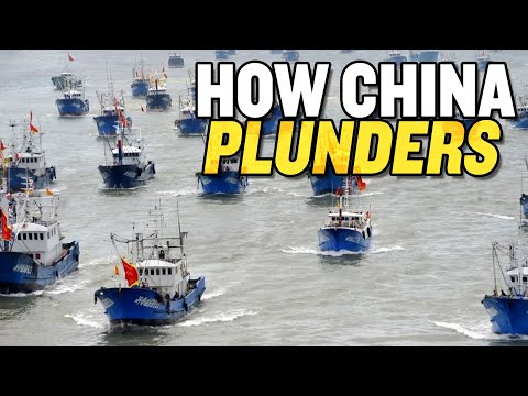 China's Global Fishing Wrecks Economies and the Ocean