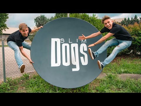 La parabola è FINITA - #DomandeDaCani - Cane Secco