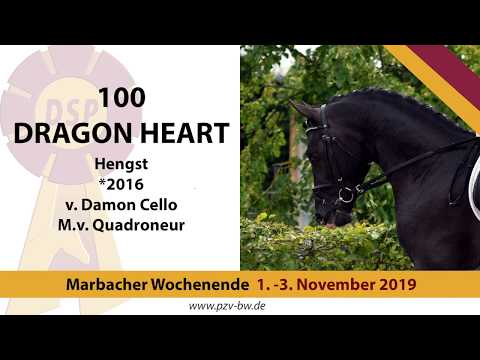 100 Dragon Heart v. Damon Chello - Quadroneur