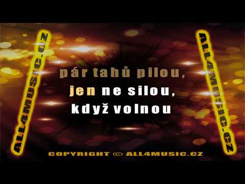 KJ1178 SCHELINGER JIŘÍ-Perpetum Mobile (Karaoke verze)