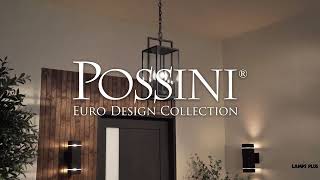 1_Watch A Video About the Possini Euro Jericho Black 4 Light Outdoor Hanging Light