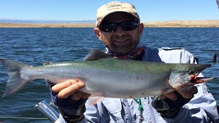 Flaming Gorge Underwater Water Wolf Camera Video by Sam Lage