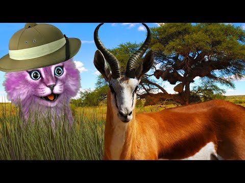 КТО МЕНЯ СЪЕЛ?! ДИКАЯ САВАННА В РОБЛОКС! roblox Wild Savanna