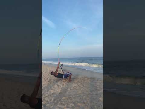 Bent #fish #fishing #longisland #shark #florida #newyork #sharkfishing #beach #viral #crazy  #lbsf