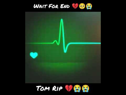 My Talking Tom Rip 💔💔💔💔💔💔💔🥺🥺🥺🥺😭😭😭😭😭 Wait For End ✨💔💔 Nooo 😭#talkingtom #sad #rip
