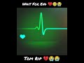 My Talking Tom Rip Wait For End Nooo Talkingtom Sad Rip