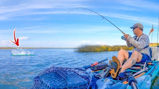 Chasing the Most Sought After Fall Fish - Destin Kayak Fishing