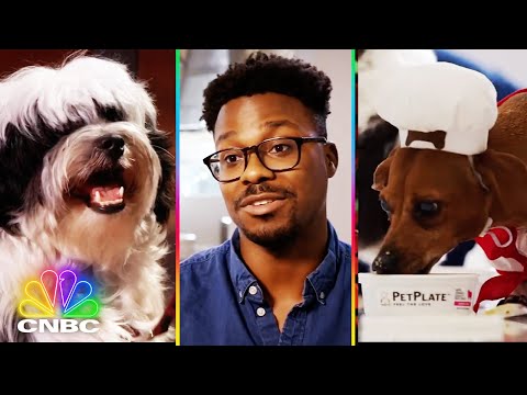 Pet Plate Shark Tank Pitch