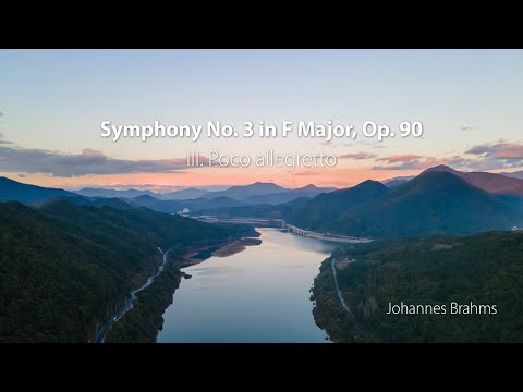 Brahms _ Symphony No. 3 in F Major, Op. 90 _ III. Poco allegretto