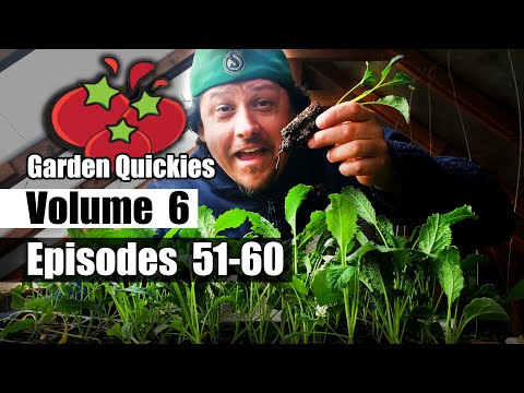 Gardening Indoors Vlog Part 1 of 10