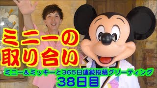 ミニー＆ミッキーと365日連続投稿グリーティング38日目〜ミニーの取り合い〜