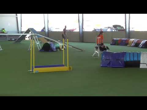 Ainhoa & Gea - Supercoppa Italiana 2022, agility open 300