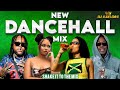 SHAKE IT TO THE MAX NEW DANCEHALL MIX 2025 MOLIY VYBZ KARTEL SHENSEEA SKILLIBENG POPCAAN