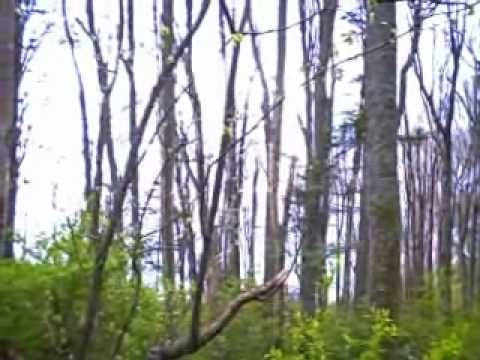 Part 5:  Hiking in Discovery Park