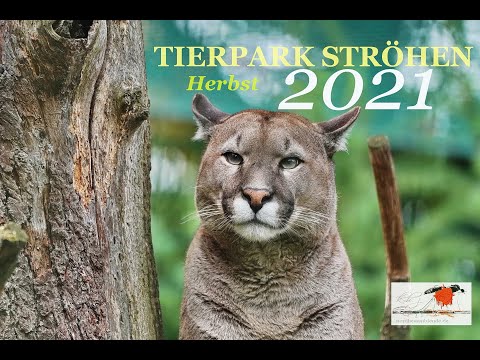 Tierpark Ströhen 2021