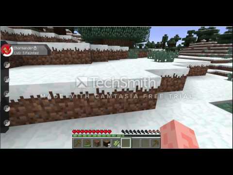 Pixelmon | The adventure begins