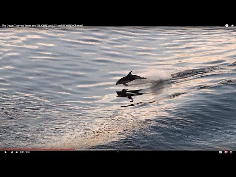 The Best Tide Pools in Santa Cruz from The Dawn Thomas Team and MoveToTheBeach.com