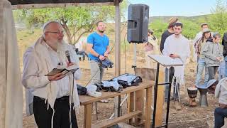 למה קוצים צומחים בקלי קלות? | הרב שמואל אליהו | הלכה יומית | א' אייר תשפ"ד (הרב שמואל אליהו) - התמונה מוצגת ישירות מתוך אתר האינטרנט יוטיוב. זכויות היוצרים בתמונה שייכות ליוצרה. קישור קרדיט למקור התוכן נמצא בתוך דף הסרטון