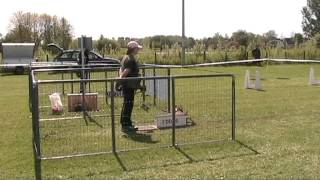 preview picture of video 'Flyball competitie 2012: AKC Waterland (Purmerend, 2012-05-13)'